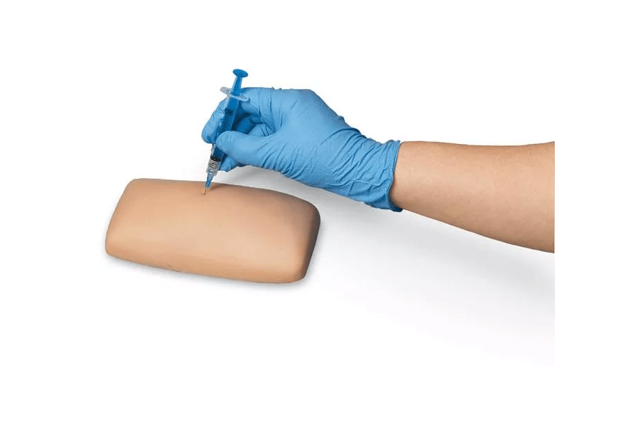 Übungsmodell intradermale, subkutane und intramuskuläre Injektion - Erler - Zimmer